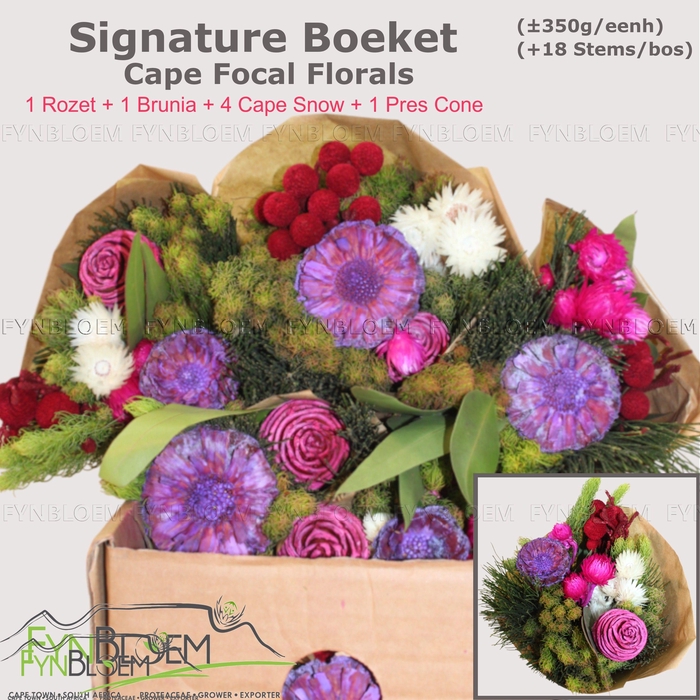 <h4>KAAPS GROE GEM IN BS</h4>