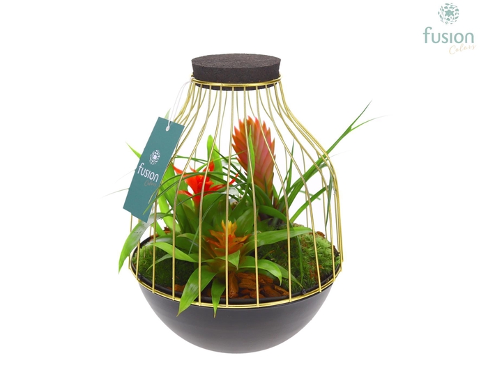 <h4>Vogelkooi metaal goudzwart Medium met Bromelia</h4>