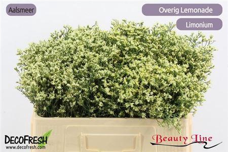 <h4>Lim Sin Sen Lemonade</h4>