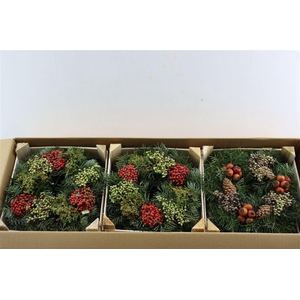 Wr Sierfruit Christmas 30cm Extra (melli)