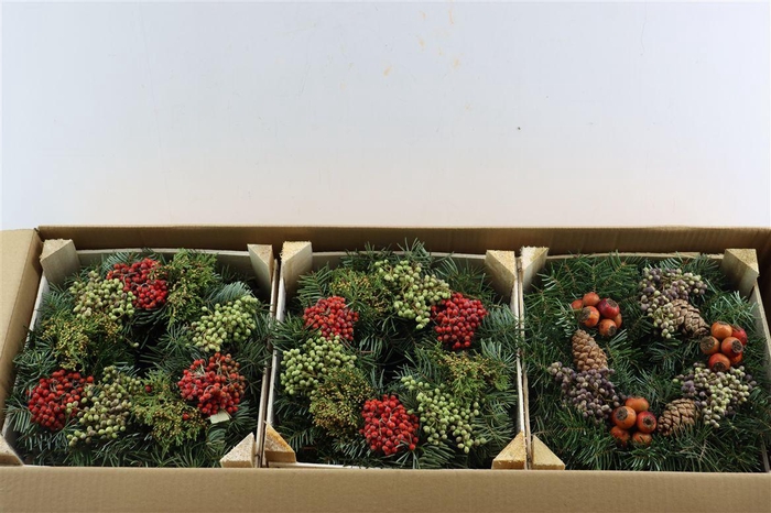 <h4>Wr Sierfruit Christmas 30cm Extra (melli)</h4>