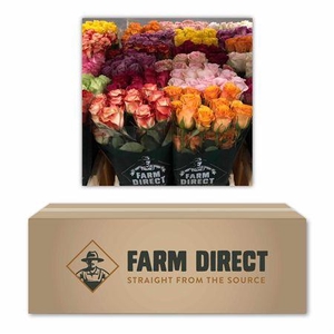 R Gr Gemengd In Doos