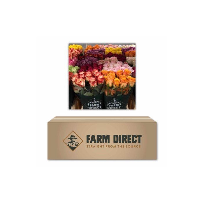 <h4>R Gr Gemengd In Doos</h4>