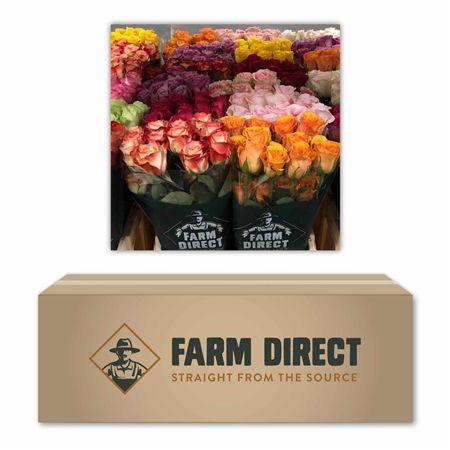 <h4>R Gr Gemengd In Doos</h4>