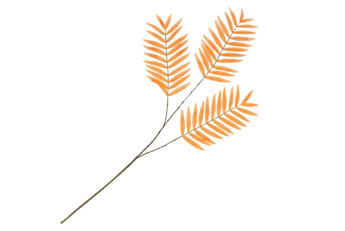 <h4>Silk Palm Leaf Orange 87cm Nm</h4>