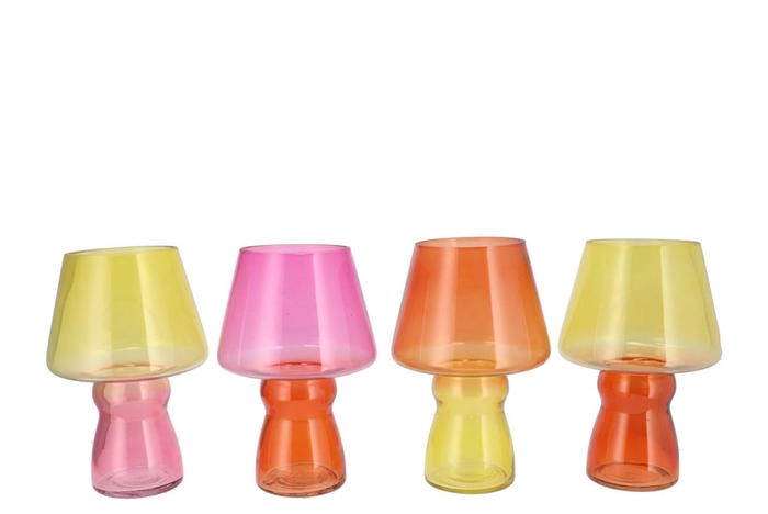 <h4>Bicolore Dutch Orange Mix Lamp Ass 17x25cm</h4>