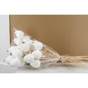 Stick Pear Flock 8cm Wht