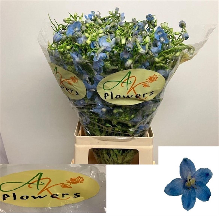 <h4>DELPH EN BALLKLEID</h4>