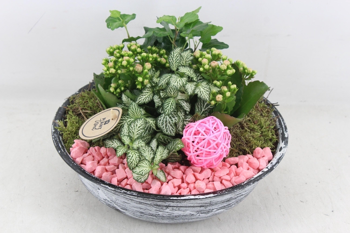 <h4>arr2 PL - Zink antiek schaal - roze</h4>