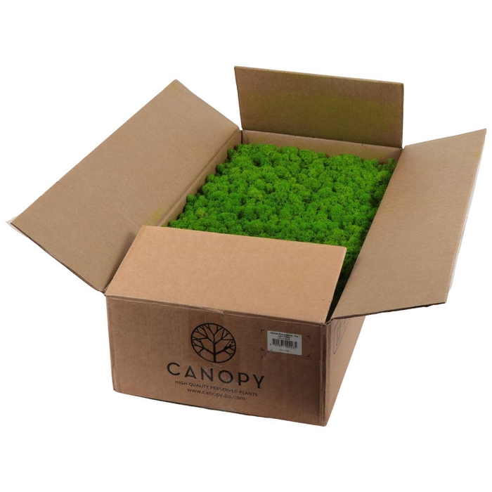 <h4>Ijslandmos (reindeer) Light Green Bulk</h4>