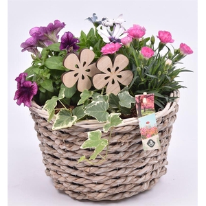 Touwmand mais 25cm