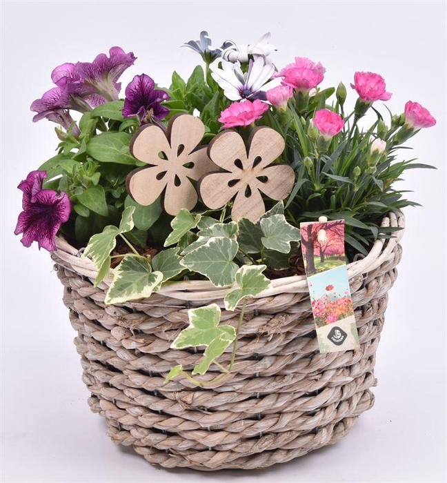 <h4>Touwmand mais 25cm</h4>