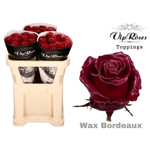 R Gr Vip Wax Bordeaux X30