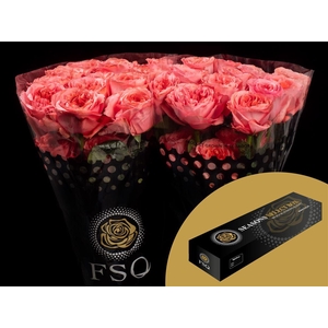 R GR Candy X-pression Box