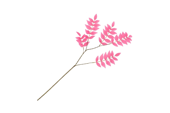 Silk Salix Leaf Small Beauty 90cm