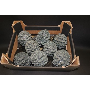 Pinea Den Green Glitter