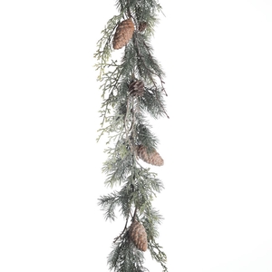 AF Garl Pine Ced. Cone Fr 182c