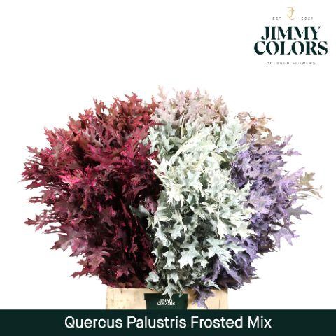 <h4>Quercus Palustris L80 Frosted mix</h4>