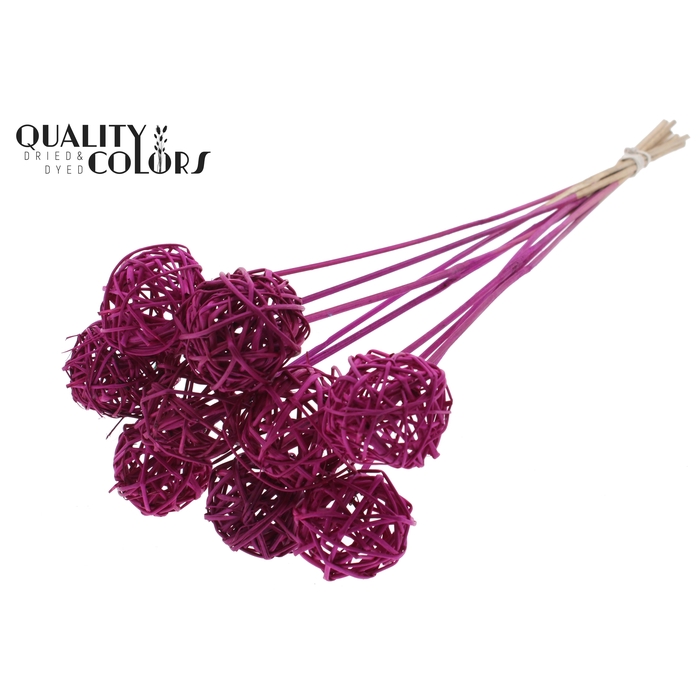 <h4>Bruce Ball 5cm on stem Lilac</h4>