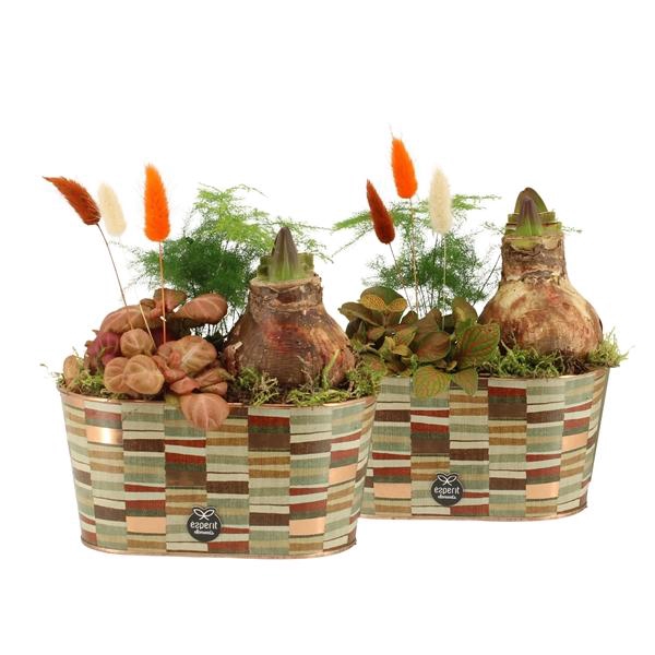 <h4>41581: Treasure time arrangement</h4>