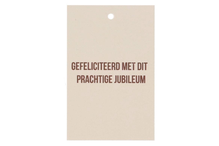 <h4>Gift Bouquet Card Gefeliciteerd Sand 6x9cm P/25</h4>