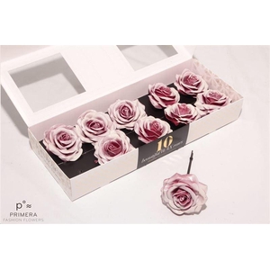 Roos Wax Zijde 230 Bord Blush White