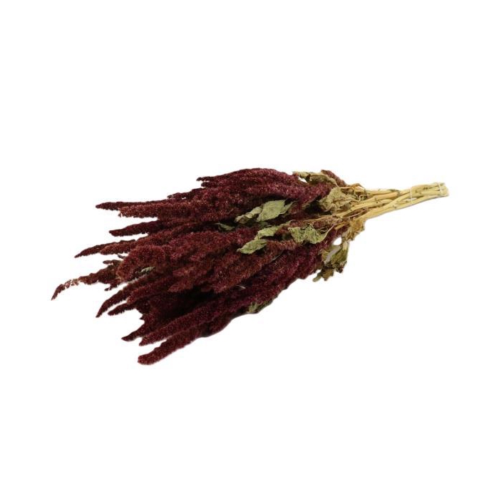 <h4>Bunch Amaranthus Slv 200g L50D30</h4>
