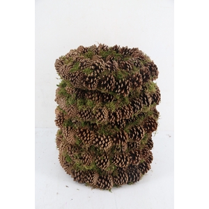 Wreath Moss Pine Cone Ø40