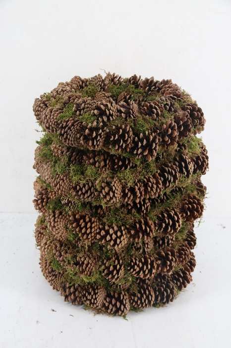 <h4>Wreath Moss Pine Cone Ø40</h4>