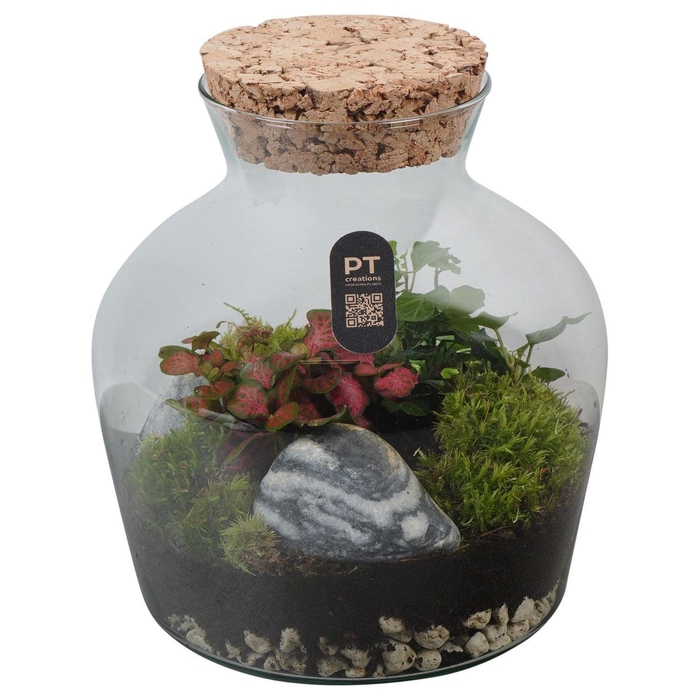 <h4>Arr.   Kamerplant Groen H%</h4>