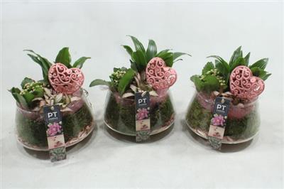 <h4>4940 Roze Ufo Glas</h4>