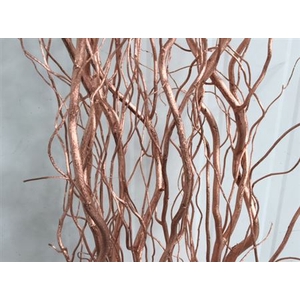 Salix 130cm Copper