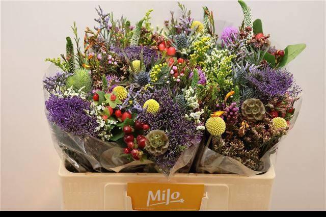 <h4>GEM ZOMERBOEKET</h4>