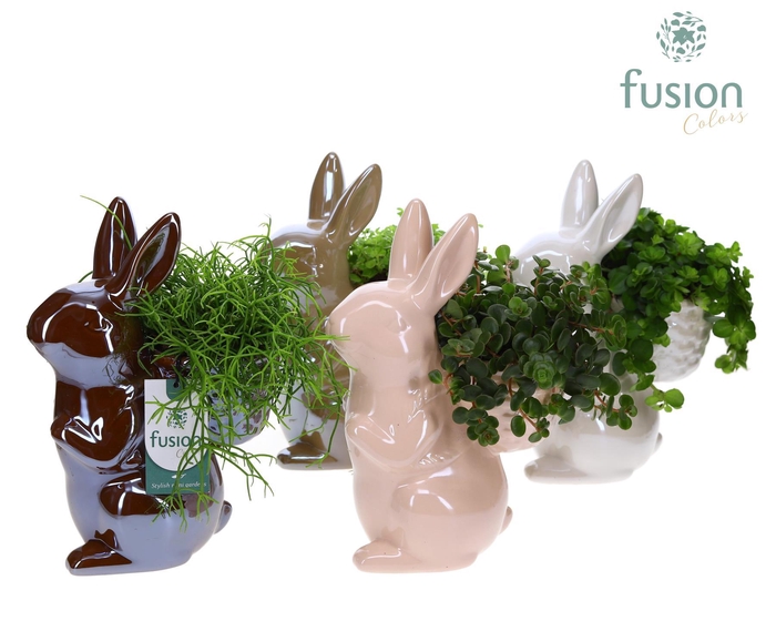 <h4>Haas keramiek Medium 3 glanzende kleuren met arrangement</h4>