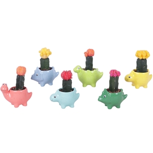 Thank you Teacher Arr. Cactus Ceramic Pot Dinosaur Ø12cm 1PP