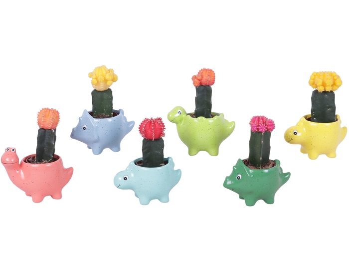 <h4>Thank you Teacher Arr. Cactus Ceramic Pot Dinosaur Ø12cm 1PP</h4>