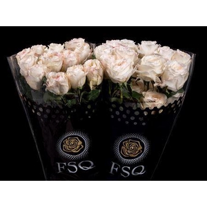 R Gr Gar Vicky Gardens