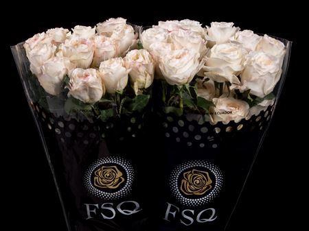 <h4>R Gr Gar Vicky Gardens</h4>