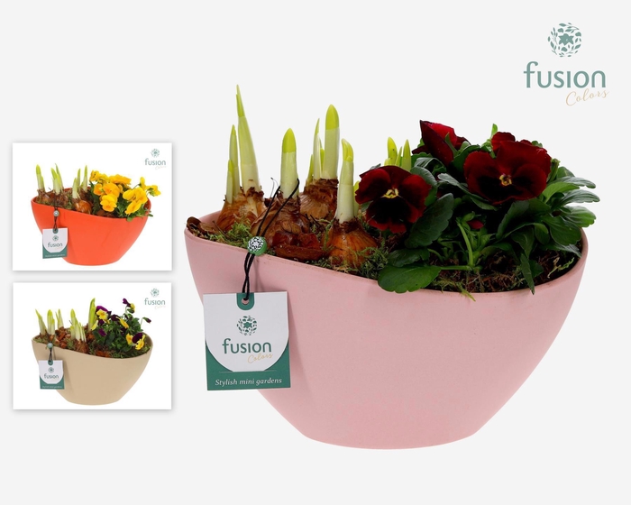 <h4>Biologisch afbreekbare ovaal schaal met arrangement</h4>