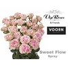 R TR SWEET FLOW