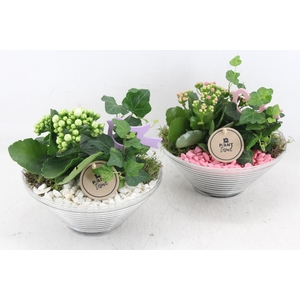 arr2 PL - Glas ribbel schaal x3 - roze/wit