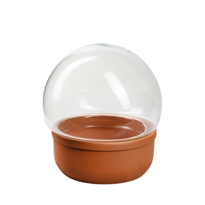 <h4>Glass Cloche+bowl Sintra d21*25cm</h4>