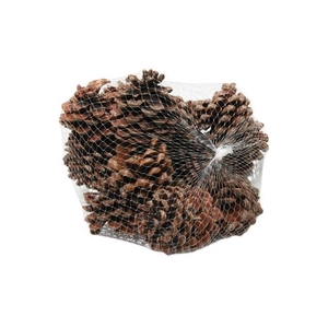 Pinecone Pinea L9/12 15 Pcs