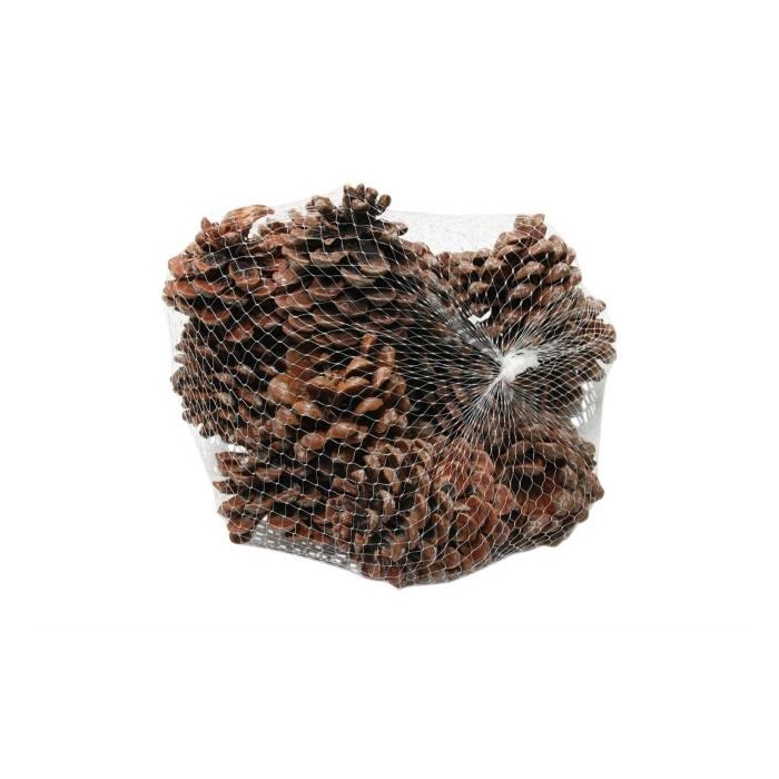 <h4>Pinecone Pinea L9/12 15 Pcs</h4>