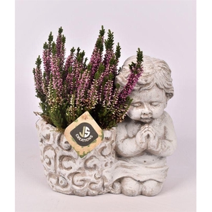 arr4 Allerheiligen JS2040 - Praying Angel