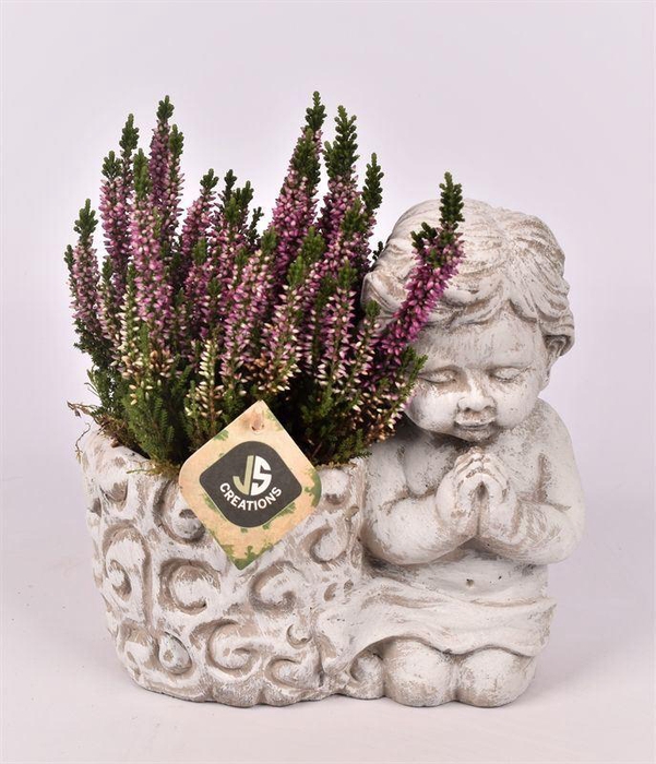<h4>arr4 Allerheiligen JS2040 - Praying Angel</h4>