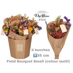 DRIED BOUQUET SMALL MULTI