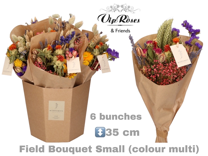 DRIED BOUQUET SMALL MULTI
