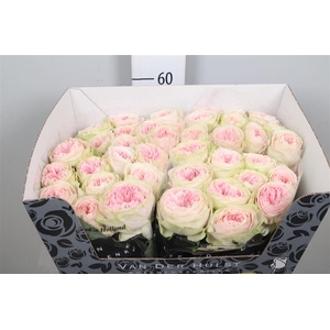 R Gr Bal Summerhouse