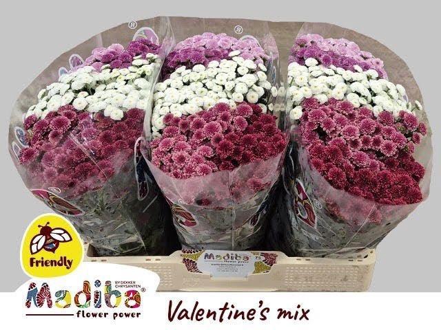 <h4>CHR S MAD TYO GEM FT</h4>